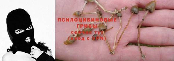 ECSTASY Абдулино