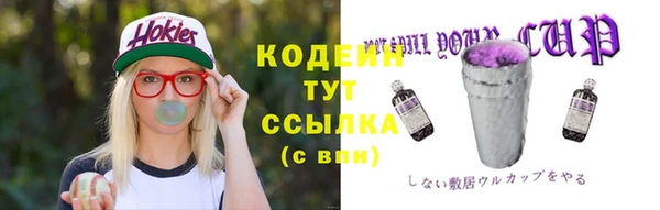 соль ск Абаза