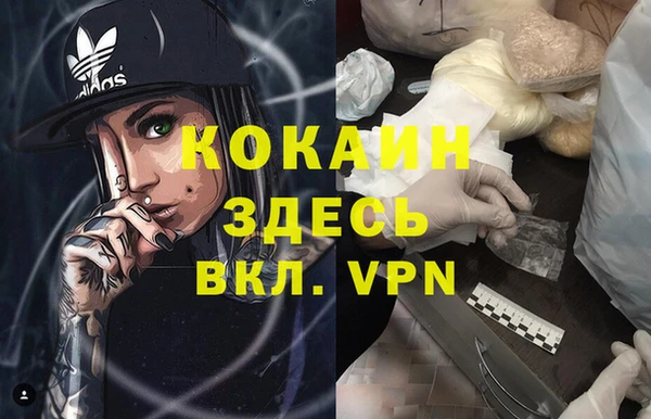 соль ск Абаза
