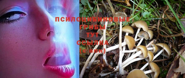 герыч Абинск